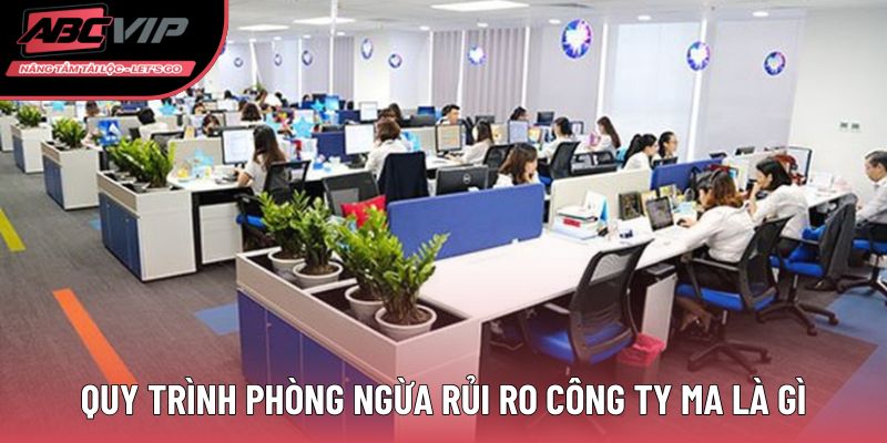 Quy trình phòng ngừa rủi ro công ty ma là gì 